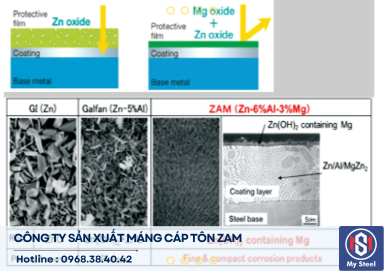 Ở đâu bán máng cáp tôn zam giá rẻ ở đâu bán máng cáp tôn zam giá rẻ